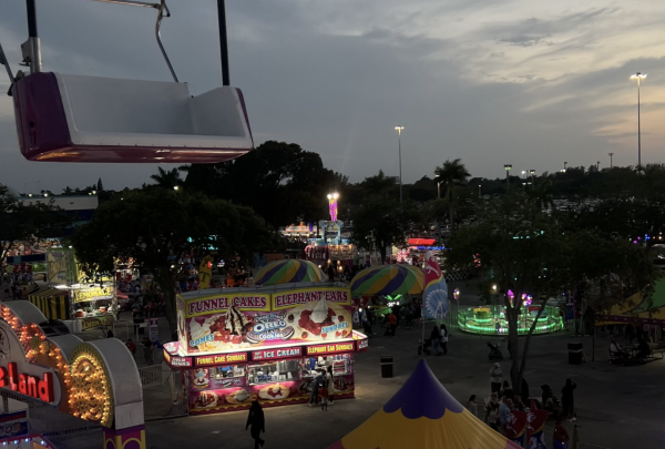 The view from the Ferris wheel has been a popular one for years, as it showcases the fair and the various rides and activities below.